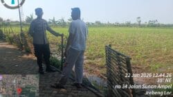 Dari Keamanan ke Pertanian, Polisi Kedopok Hadir Dampingi Petani Jagung