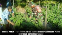 Babinsa Panca Jaya: Produktivitas Terong Diharapkan Mampu Penuhi Kebutuhan Sayur Masyarakat Babinsa Panca Jaya: Produktivitas Terong Diharapkan Mampu Penuhi Kebutuhan Sayur Masyarakat