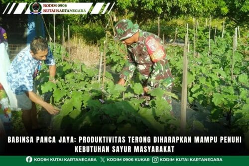 Babinsa Panca Jaya: Produktivitas Terong Diharapkan Mampu Penuhi Kebutuhan Sayur Masyarakat Babinsa Panca Jaya: Produktivitas Terong Diharapkan Mampu Penuhi Kebutuhan Sayur Masyarakat