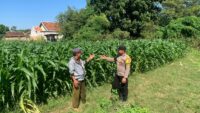 Sambangi Petani, Bhabinkamtibmas Polsek Kademangan Gaungkan Ketahanan Pangan