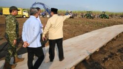 Panglima TNI Dampingi Presiden RI Panen Raya Terpadu TNI, Perkuat Ketahanan Pangan Nasional
