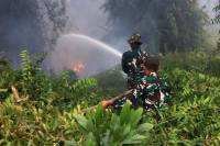 Api Belum Usai Perjuangan Berlanjut, Satgas Irigasi Lanud Sjamsudin Noor Terus Perkuat Upaya Padamkan Karhutla Kalsel Optimalkan Air Hingga Dinginkan Lahan Gambut