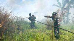 Cegah Kebakaran Meluas, Tanpa Kenal Lelah Satgas Karhutla Lanud Sjamsudin Noor Pantang Menyerah Kendalikan dan Sekat Titik Api