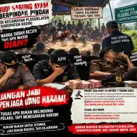 Judi Sabung Ayam Disebut Kerap Pindah Arena di Kecamatan Plosoklaten, Kabupaten Kediri, Pak Giman Disebut Warga
