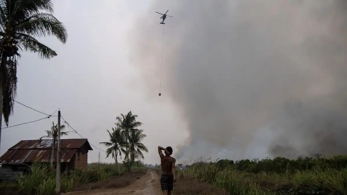 Asap Karhutla Kalimantan Diduga Pengaruhi Kualitas Udara Makassar