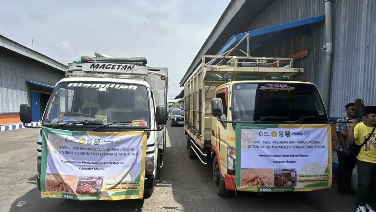 Stok Jagung Pakan di Jawa Timur Terjaga, Penyaluran SPHP Tembus 75,22 Persen
