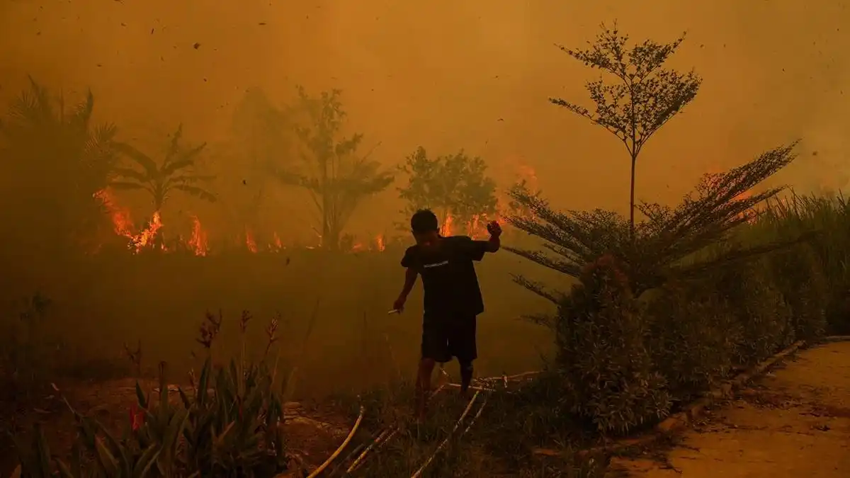 Kenaikan Titik Panas di Kalimantan dan Sumatra Jadi Perhatian Pemerintah