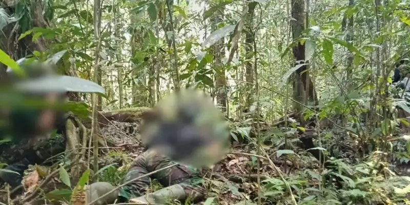 Tiga Anggota OPM Dilaporkan Tewas Setelah Kontak Tembak di Maybrat