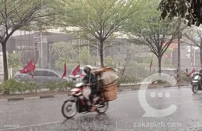 Hujan Membawa Harapan Baru bagi Pekanbaru di Tengah Kabut Asap