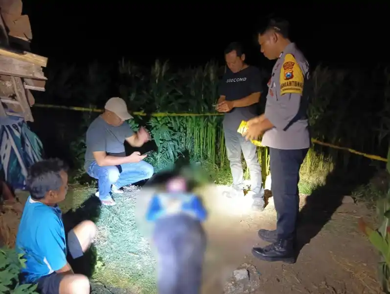 Pencarian hingga Persawahan Jagung Berujung Penemuan Lansia Meninggal di Ponorogo