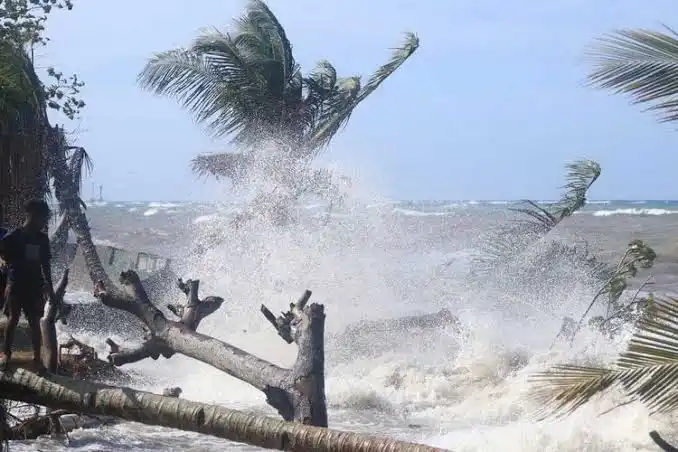 Cuaca Mendukung Libur di Jawa Timur, Wisata Pantai Selatan Tetap Wajib Waspada