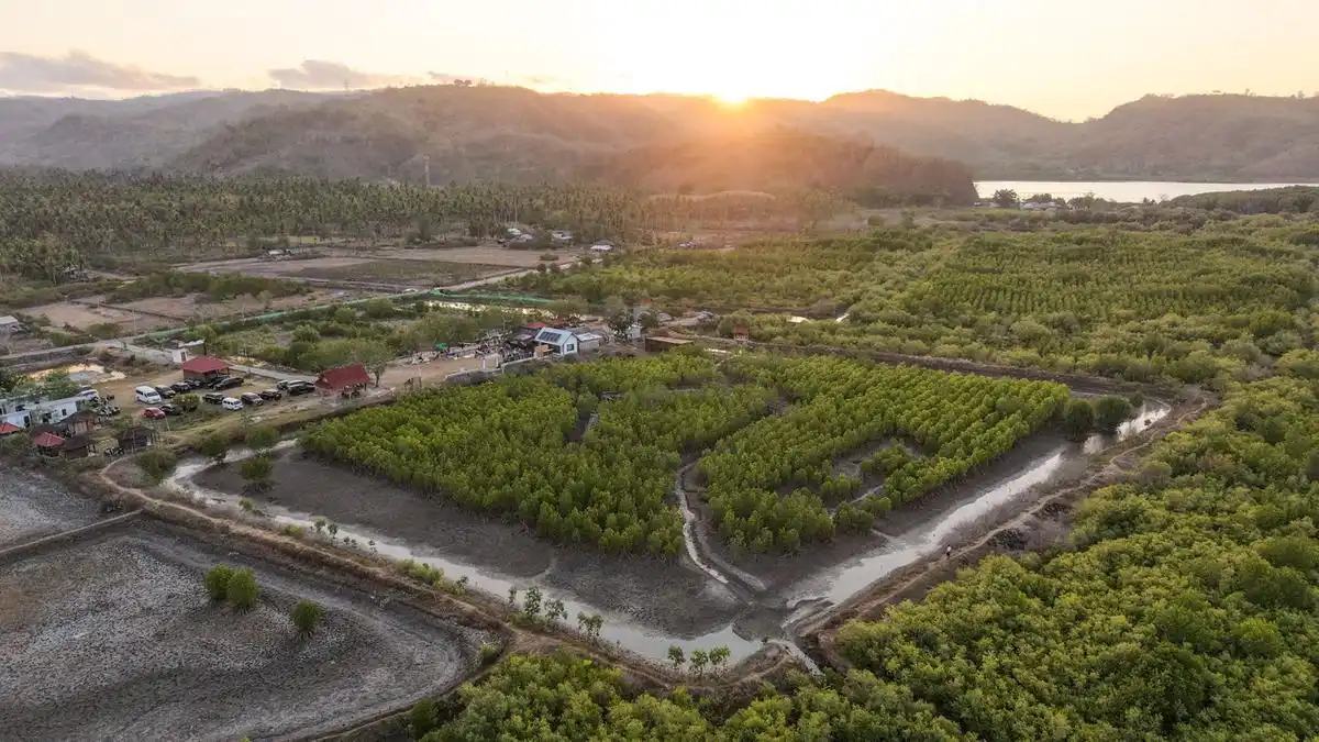 Sekolah Alam Mangrove Dorong Pendidikan dan Kemandirian Anak Pesisir NTB