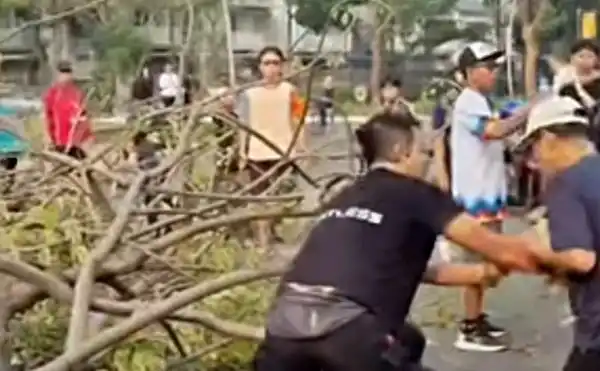 Pohon Tumbang di Summarecon Bekasi, Dua Orang Dikabarkan Menjadi Korban