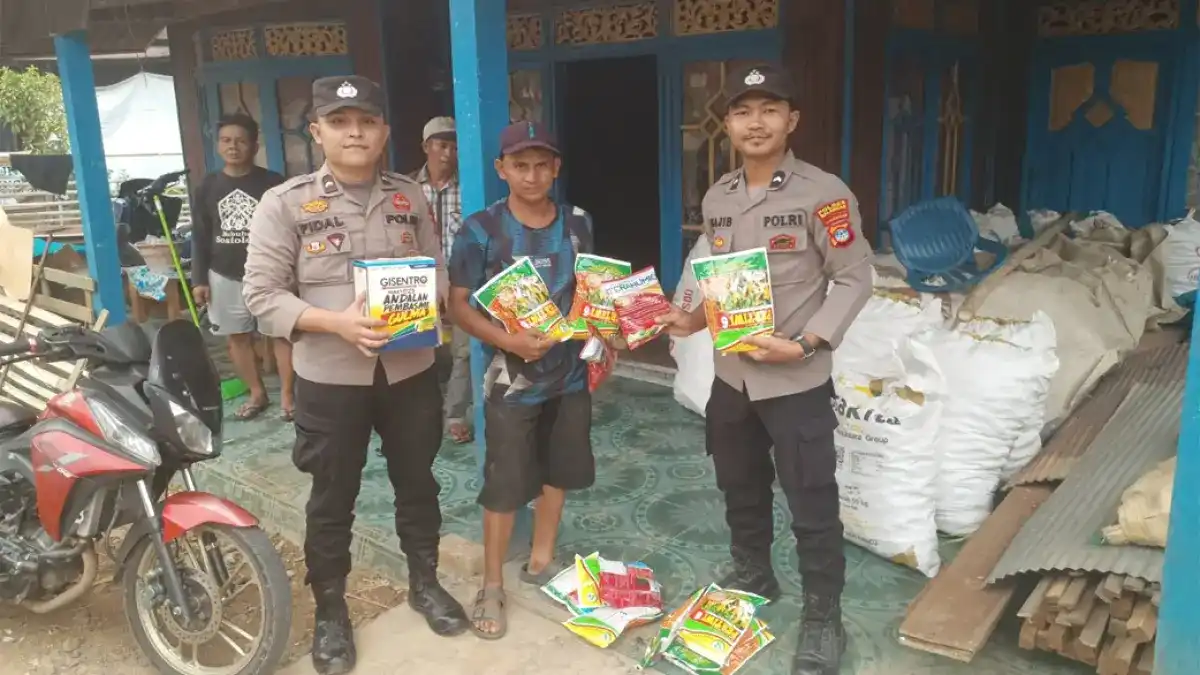 Gagal Panen akibat Karhutla, Petani Jagung Balangan Menerima Bantuan Bibit