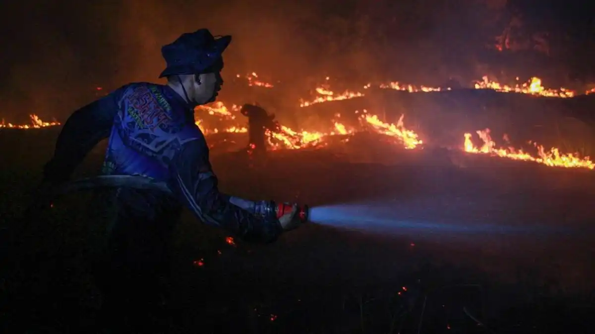 Ratusan Titik Panas Karhutla Terdeteksi, Kalimantan Tengah Menjadi Wilayah Terparah