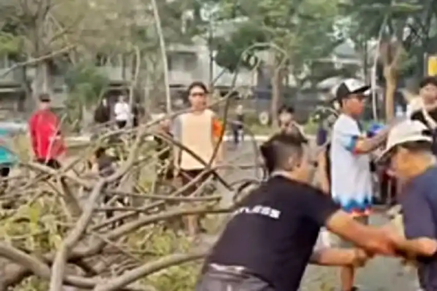 Dua Warga Terluka akibat Pohon Tumbang di CBD Summarecon Bekasi