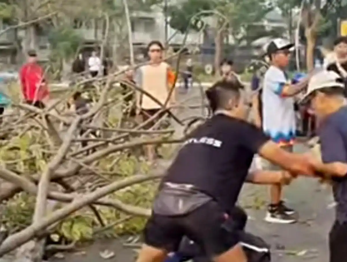 Dua Orang Dilaporkan Tertimpa Pohon Tumbang di Kawasan Summarecon Bekasi