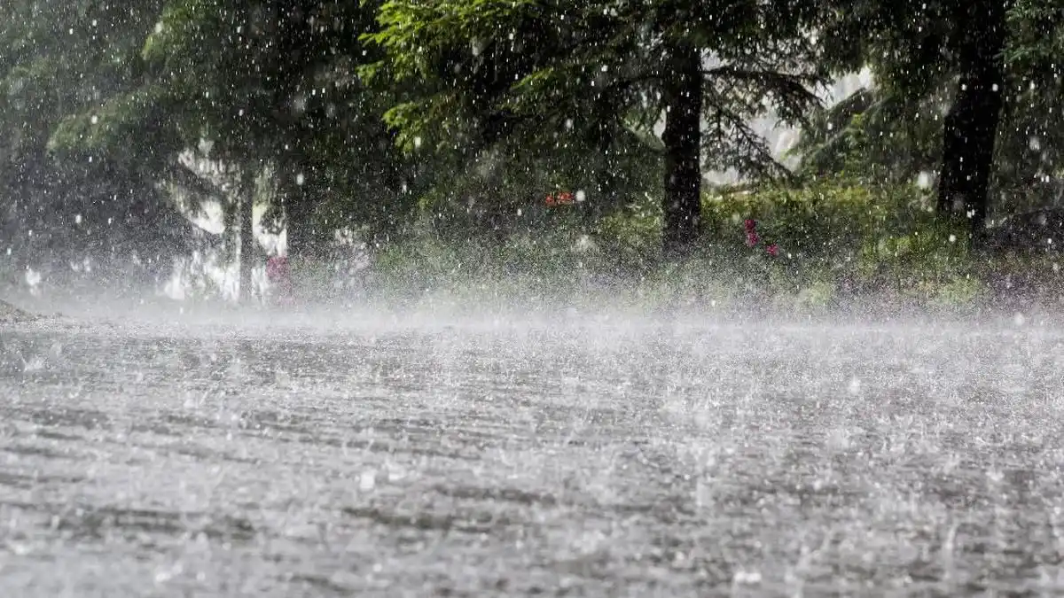 Banjir Melanda Langkat dan Binjai Setelah Hujan Intens Disertai Angin Kencang