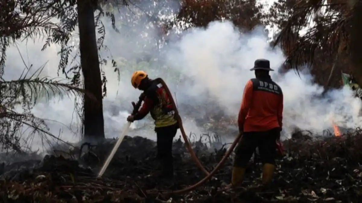 Kemenhut Perkuat Pemadaman Karhutla di Taman Nasional Tanjung Puting di Tengah Kendala Kabut Asap