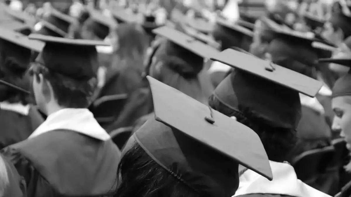 Jutaan Sarjana Indonesia Belum Terserap, Magang Nasional Jadi Jembatan Menuju Kerja