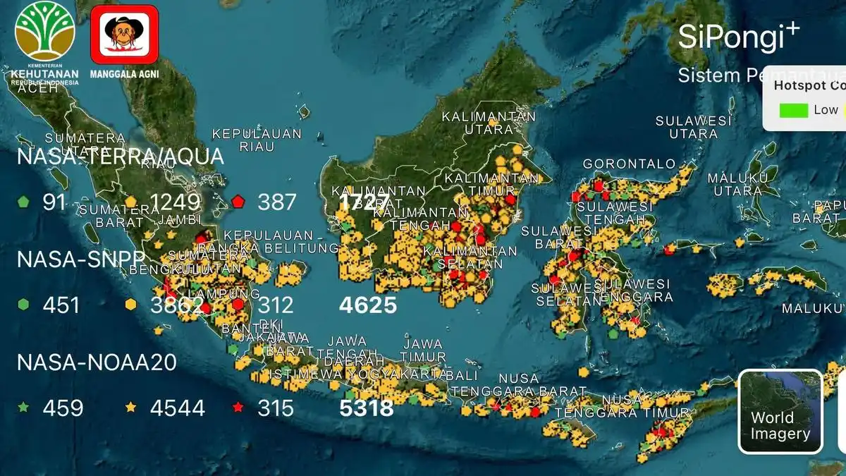 Karhutla Meluas di Kalteng dan Sumsel, BNPB Catat Ratusan Hektare Terbakar