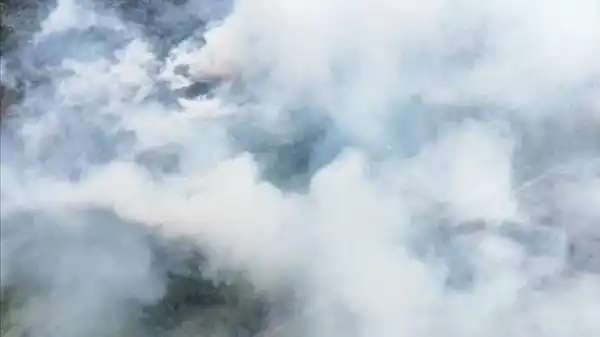 Penanganan Karhutla Berfokus pada 639,23 Hektare Lahan di Enam Provinsi