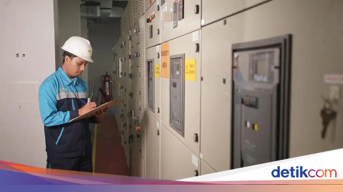 Pemadaman Meluas di Batam Diduga Dipicu Hewan Liar di Gardu Induk