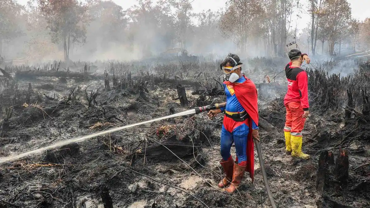 Pemerintah Kerahkan Kekuatan Gabungan dan Tindak Dugaan Pembakaran dalam Penanganan Karhutla