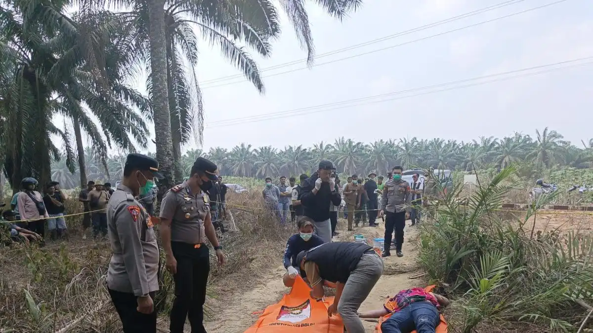 Polisi Identifikasi Yulia, Jenazah Ditemukan di Perkebunan Sawit Mesuji