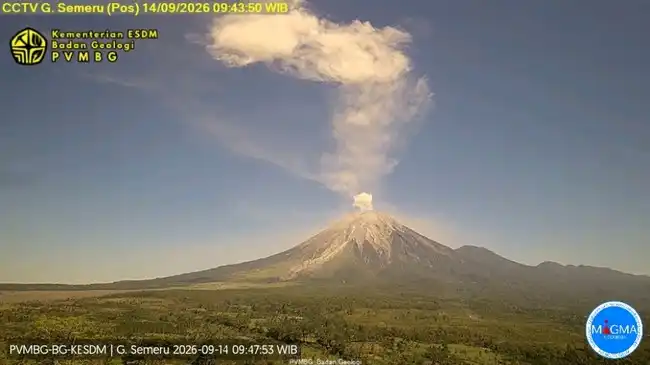 Erupsi Semeru pada 14 Oktober 2026, Kolom Abu Teramati hingga 3.876 Meter
