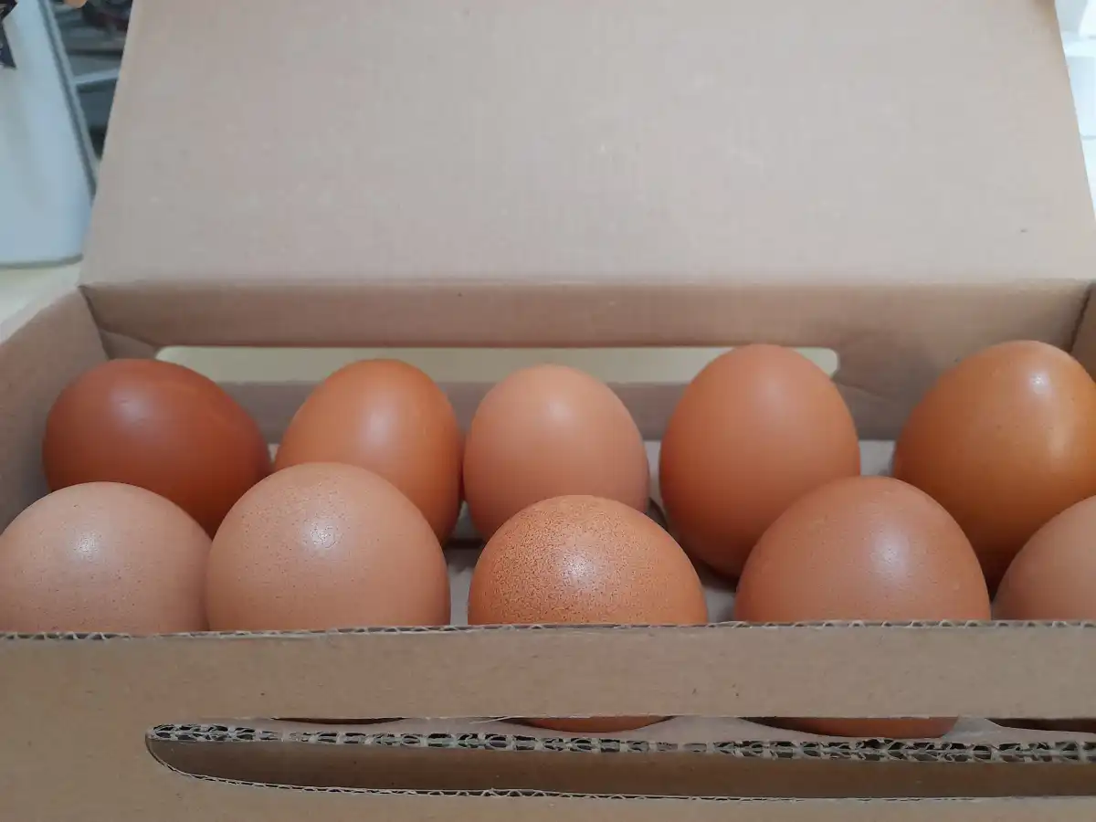 Kementan Tetapkan Batas Harga Telur untuk Pasokan Dapur MBG