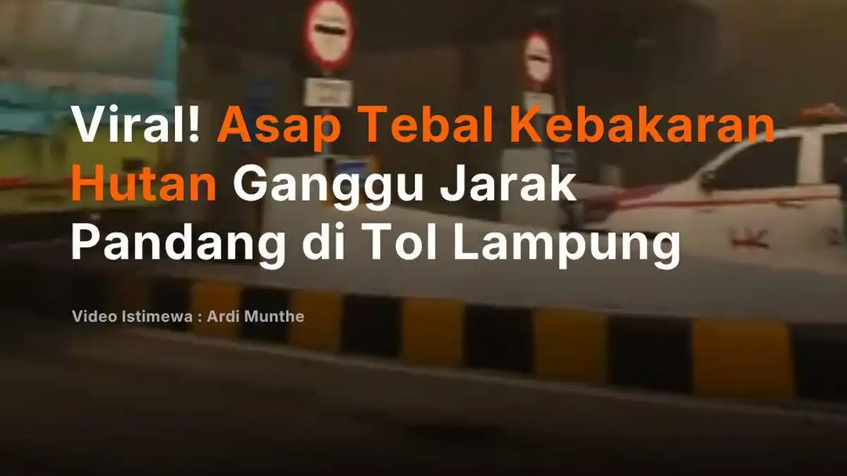Asap Kebakaran Lahan Ganggu Pandangan di Tol Terpeka, Api Masih Tersisa