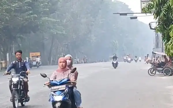 Asap Karhutla Sumsel dan Kalimantan Menjangkau Asahan, Pemprov Sumut Siapkan Hujan Buatan
