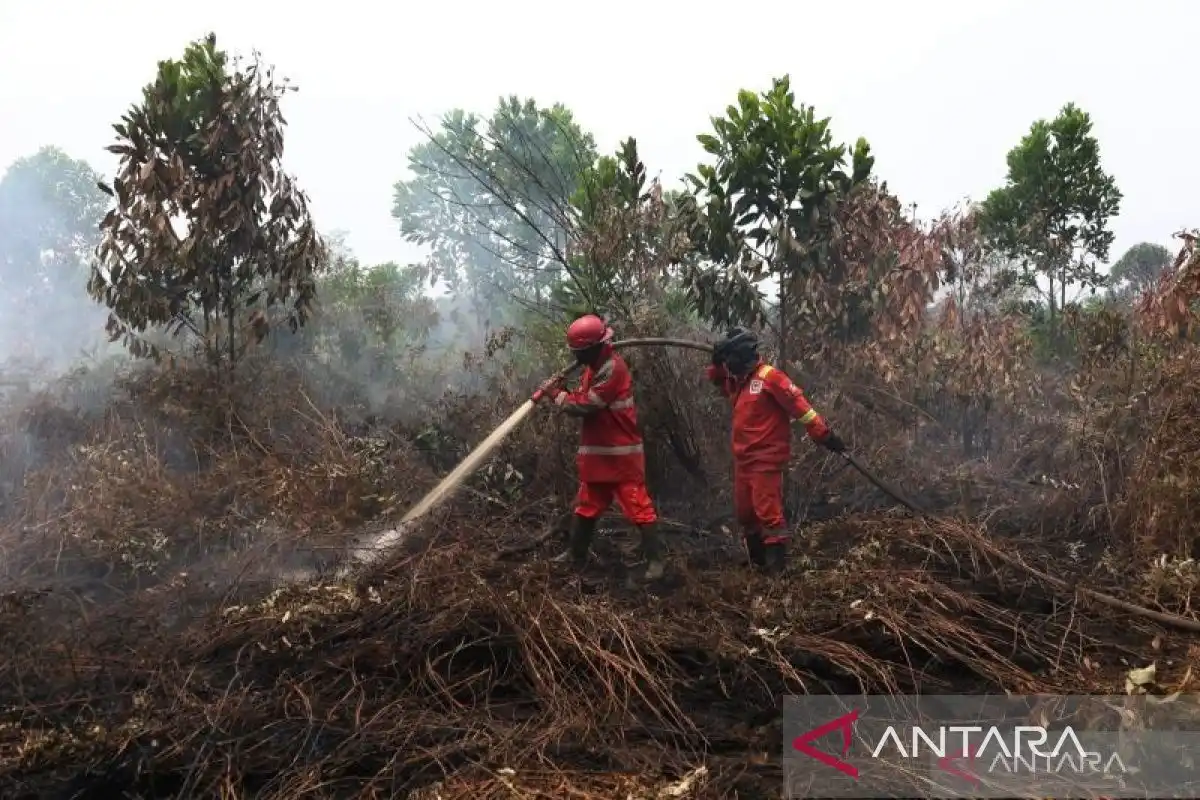 DLHK Kalbar Kaji Kerusakan Hutan untuk Menetapkan Dasar Denda Karhutla