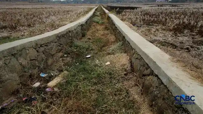 BMKG Soroti Tekanan Perubahan Iklim terhadap Ketahanan Air Indonesia