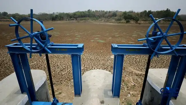 Situ Rawa Bedeng Mengering, Warga Bekasi Kehilangan Andalan Air