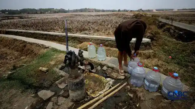 Warga Medalkrisna Bertahan di Tengah Kekeringan dan Sulitnya Air Bersih