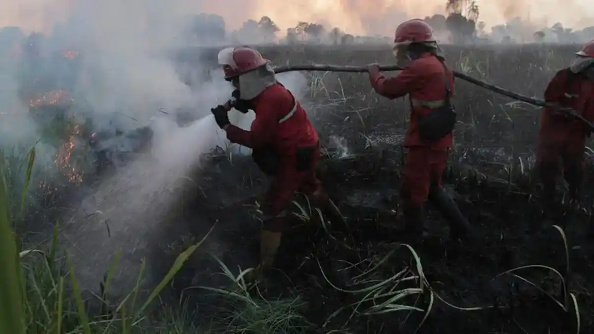 Pemerintah Kerahkan 71 Ribu Personel dan Perluas Dukungan Penanganan Karhutla