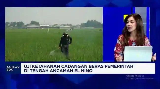 Cadangan Beras Pemerintah Meningkat, Bagaimana Dampaknya bagi Petani?