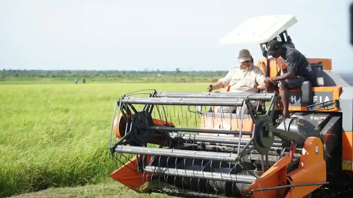 Percepatan Cetak Sawah Merauke Ditopang Infrastruktur dan Kebutuhan Petani