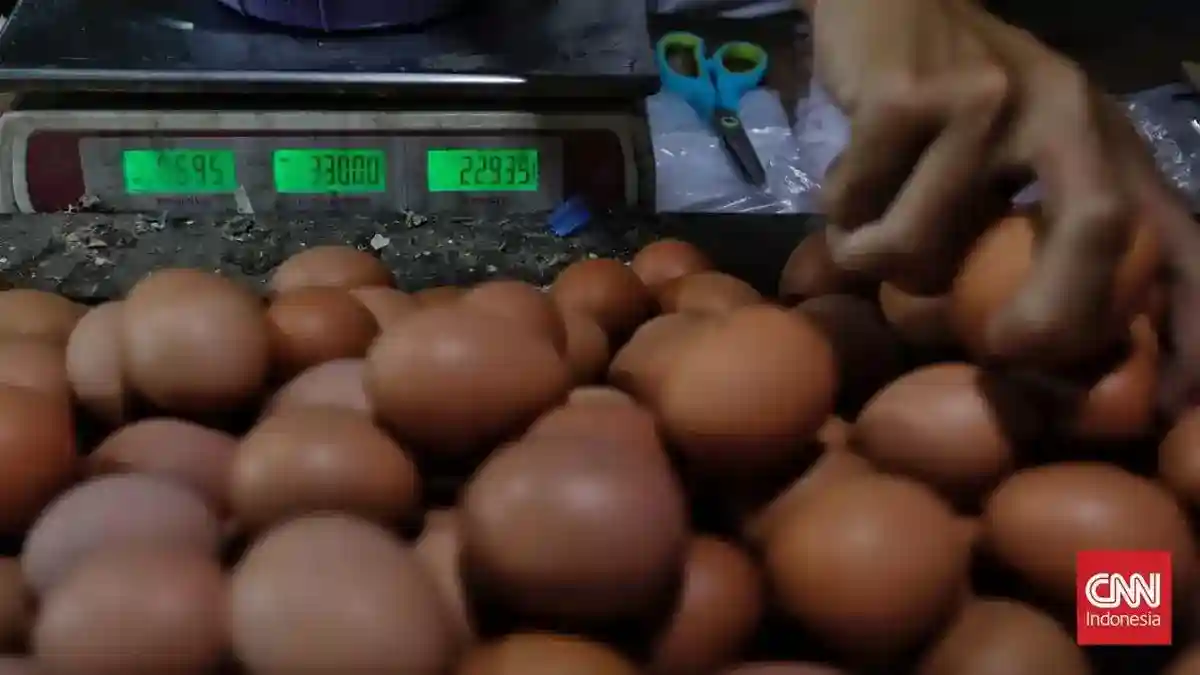 Pemerintah Siapkan Penyerapan Telur untuk Redam Ketimpangan Harga