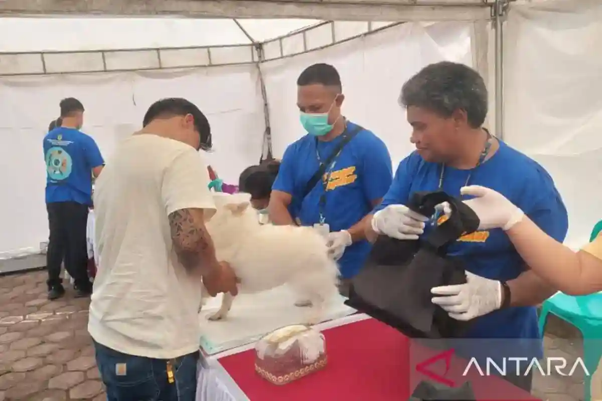 Mimika Sediakan 700 Dosis Vaksin Rabies Gratis bagi Hewan
