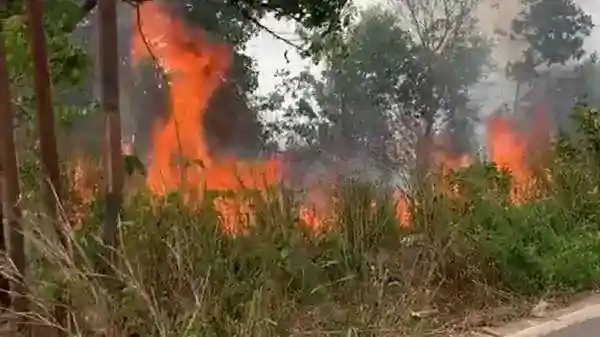 Karhutla di Kalimantan Selatan Berlanjut, Pemadaman Terkendala Pasokan Air