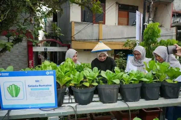 Lahan Sempit, Hasil Beragam: Jurnalis Ikut Berkebun di Brinita Bandung